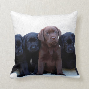 Chocolate Lab - Black Labrador Puppies Cushion