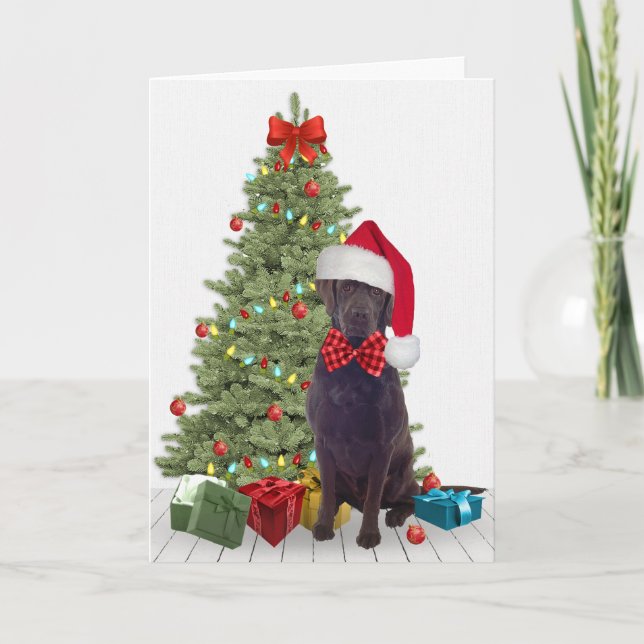 Chocolate Lab Christmas Card (Front)