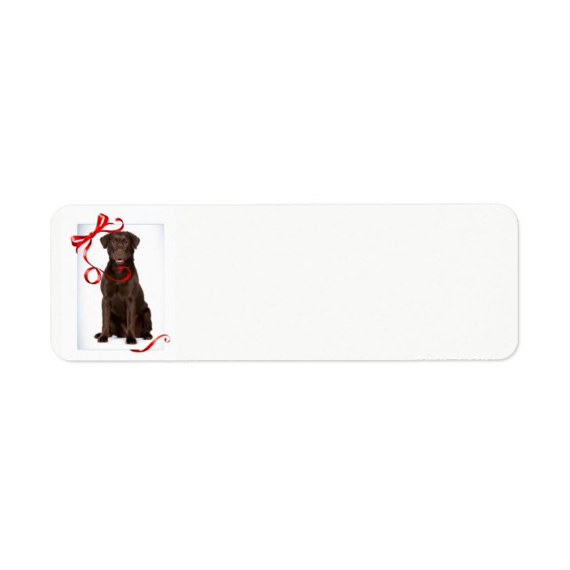 Chocolate Lab Christmas Return Address Labels (Front)