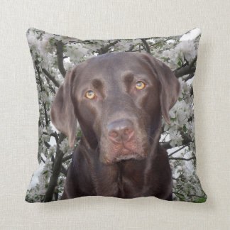 Chocolate Lab Cushion