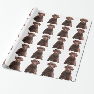 Chocolate Lab Dog Puppy Photo Pet Labrador Retriev Wrapping Paper