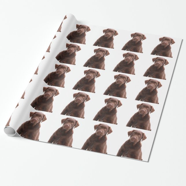 Chocolate Lab Dog Puppy Photo Pet Labrador Retriev Wrapping Paper (Unrolled)