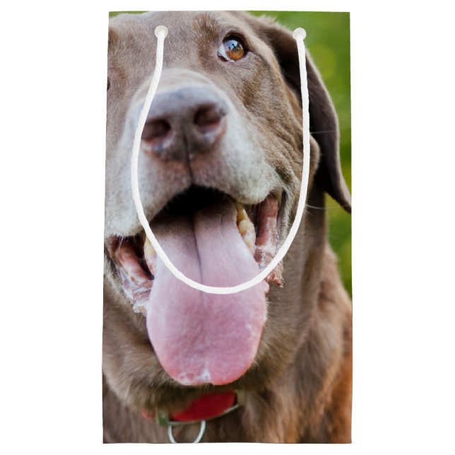 Chocolate Lab Dog Small Gift Bag (Front)