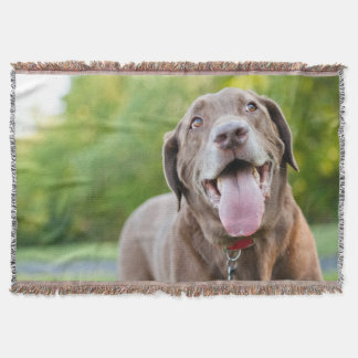 Chocolate Lab Dog Throw Blanket
