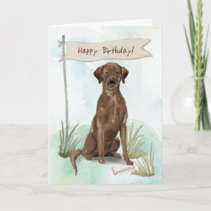 Chocolate Lab Dog Under Birthday Sign Card