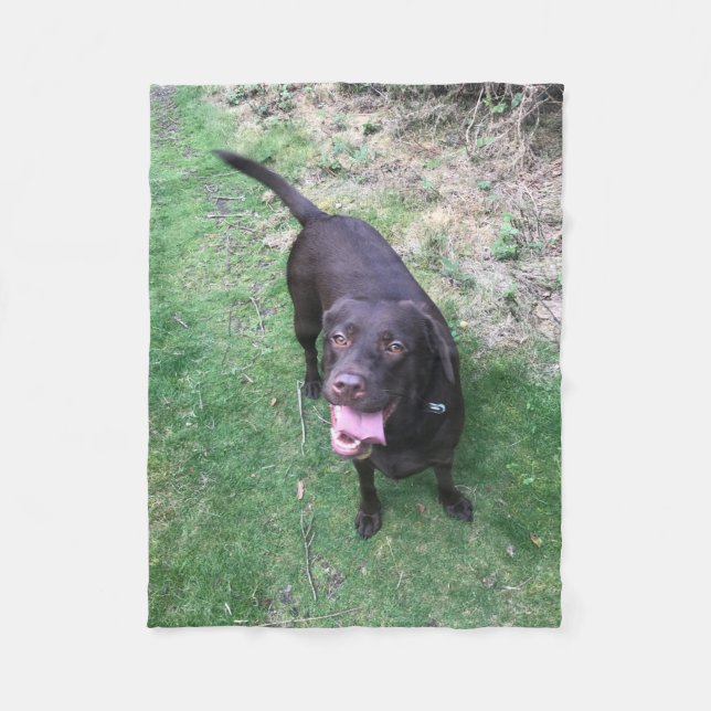 Chocolate Lab Fleece (Front)
