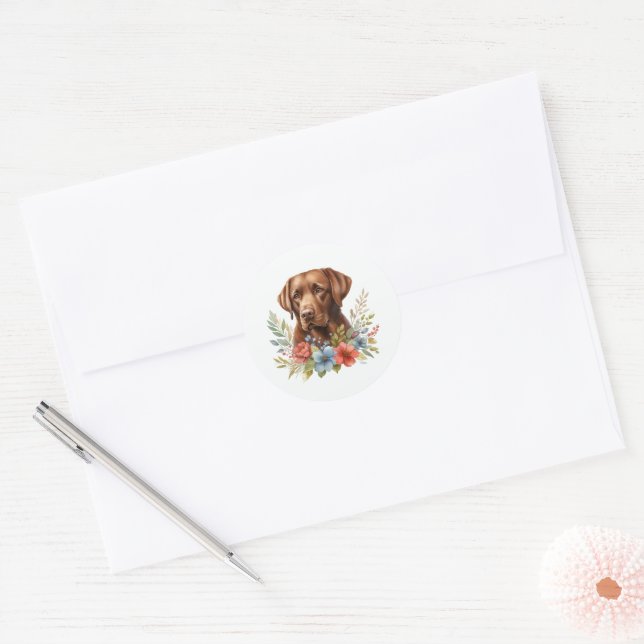 Chocolate Lab Floral Classic Round Sticker (Envelope)