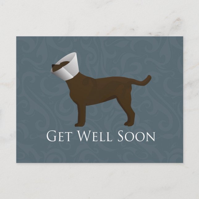 Chocolate Lab Get Well Soon Design Postcard (Front)