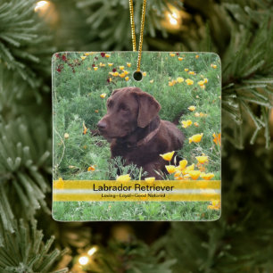 Chocolate Lab in California Poppy Patch Ceramic Tree Decoration