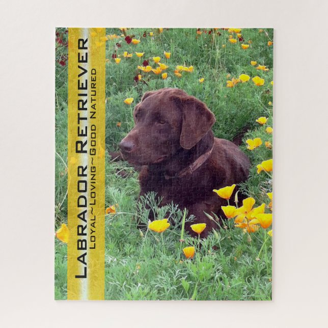 Chocolate Lab in California Poppy Patch Jigsaw Puzzle (Vertical)