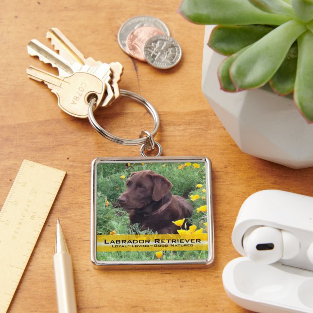 Chocolate Lab in California Poppy Patch Key Ring (Desk)