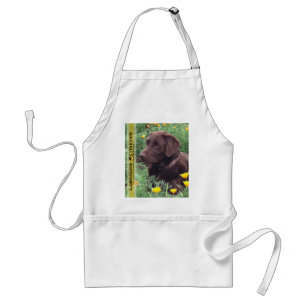 Chocolate Lab in California Poppy Patch Standard Apron