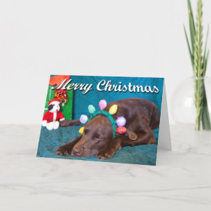 Chocolate Lab In Costume Photo Custom Inside Text Holiday Card