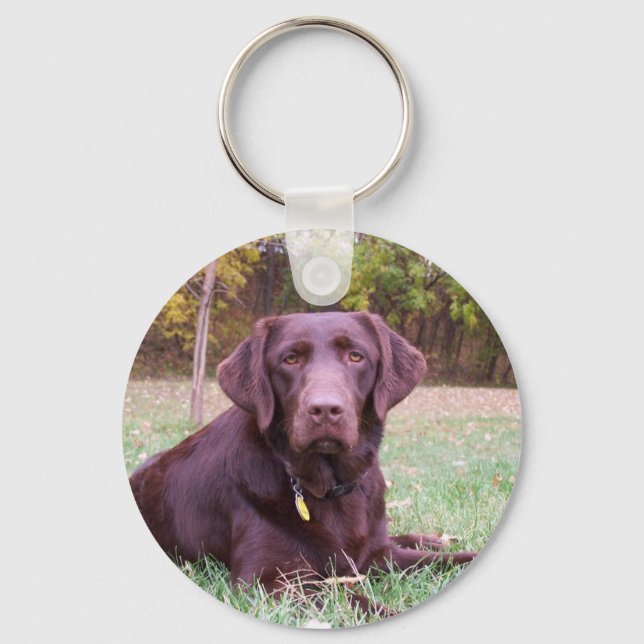 Chocolate Lab Key Ring (Front)
