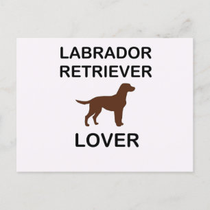 chocolate lab lover postcard