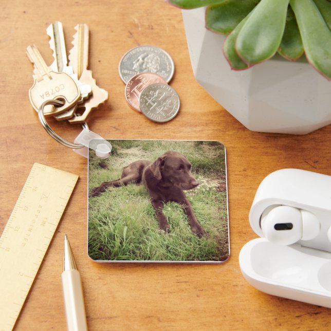 Chocolate Lab Lying In Grass Photograph Key Ring (Desk)