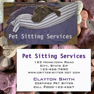 Chocolate Lab Lying on Purple and White Pillow Business Card