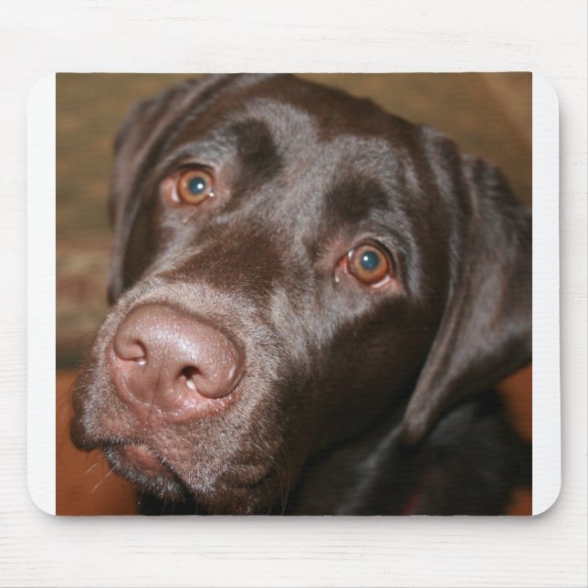 Chocolate Lab Mouse Mat (Front)