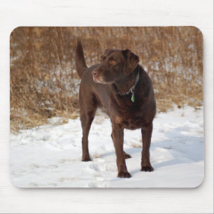 Chocolate Lab Mousepad