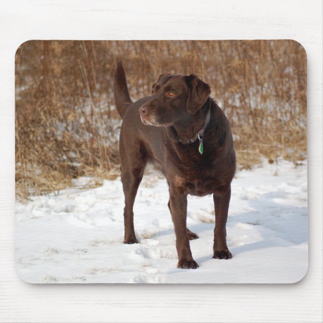 Chocolate Lab Mousepad (Front)