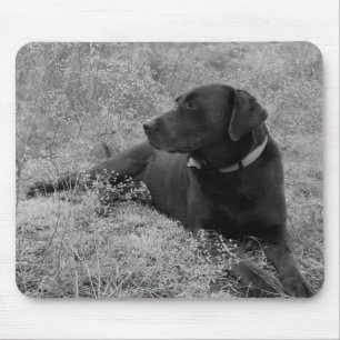 Chocolate Lab Mousepad