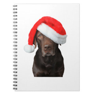 Chocolate Lab Picture Santa Hat Cute Dog Christmas Notebook