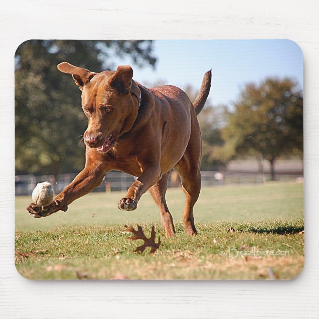 Chocolate Lab Pit Mix Dog Chasing Ball Mouse Mat (Front)