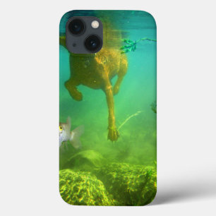 Chocolate Lab Pit Mix Dog Fishing iPhone 13 Case