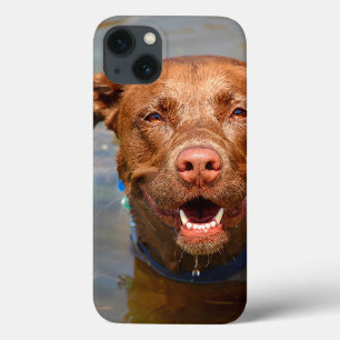 Chocolate Lab Pit Mix Dog Smiling iPhone 13 Case