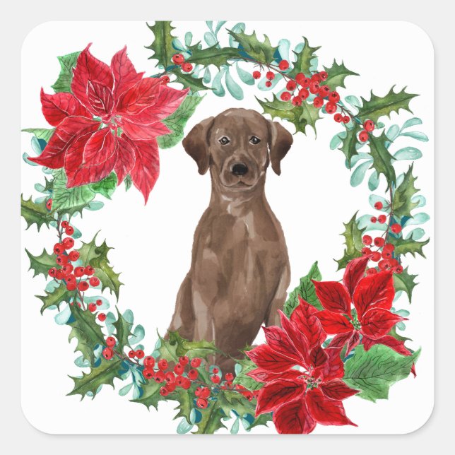 Chocolate Lab Poinsettia Christmas Wreath Square Sticker (Front)