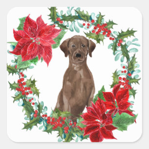 Chocolate Lab Poinsettia Christmas Wreath Square Sticker
