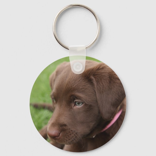 Chocolate Lab Pup Keychain (Front)