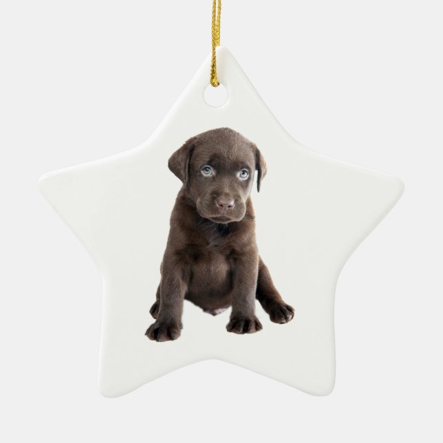 Chocolate Lab Puppy Ceramic Tree Decoration (Front)