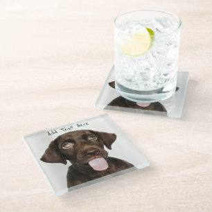 Chocolate Lab Puppy Glass Coaster