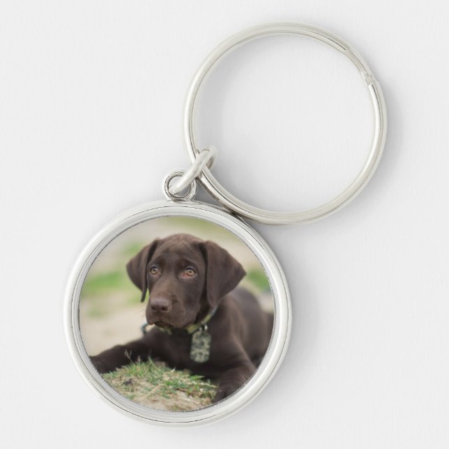 Chocolate Lab Puppy Key Ring (Front)