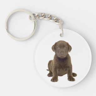 Chocolate Lab Puppy Key Ring