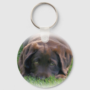 Chocolate Lab Puppy Key Ring
