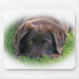 Chocolate Lab Puppy Mouse Mat