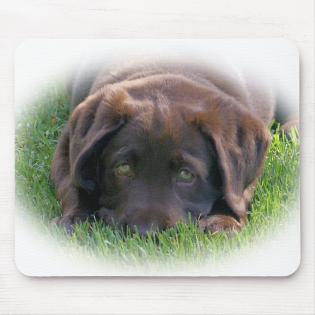 Chocolate Lab Puppy Mouse Mat (Front)