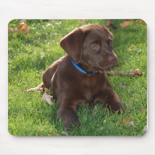 Chocolate Lab Puppy Mouse Mat (Front)