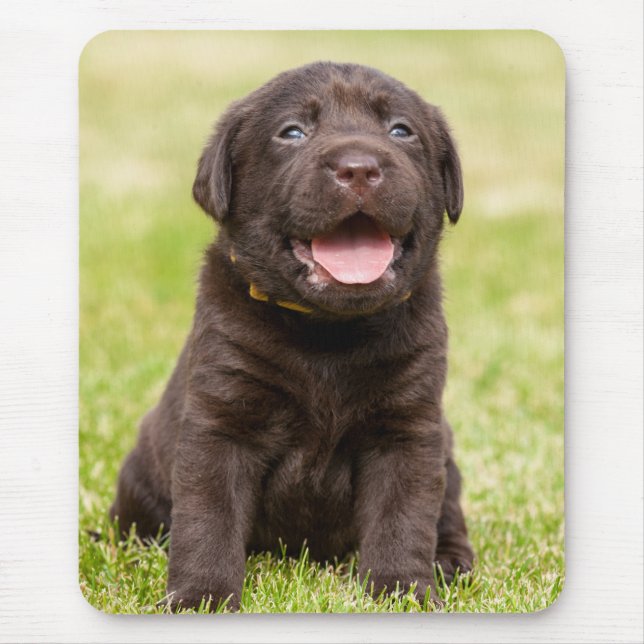 Chocolate Lab Puppy Mouse Mat (Front)