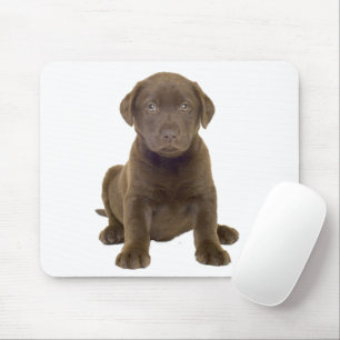 Chocolate Lab Puppy Mouse Mat