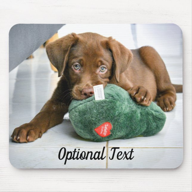 Chocolate Lab Puppy with a Toy Mouse Mat (Front)