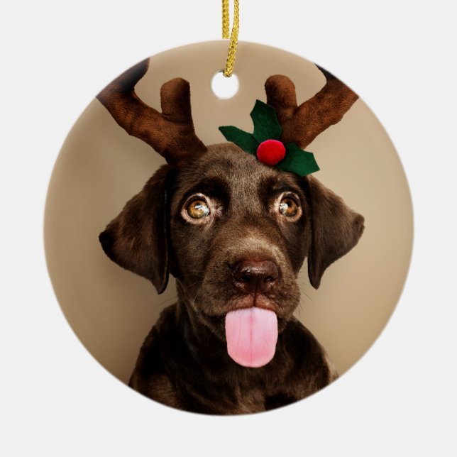 Chocolate Lab Reindeer Ceramic Tree Decoration (Front)