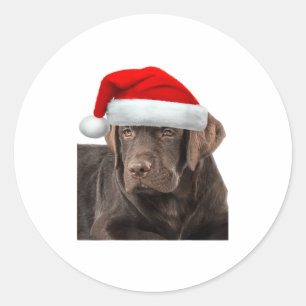 Chocolate Lab Shirt Labrador Retriever Dog Christm Classic Round Sticker