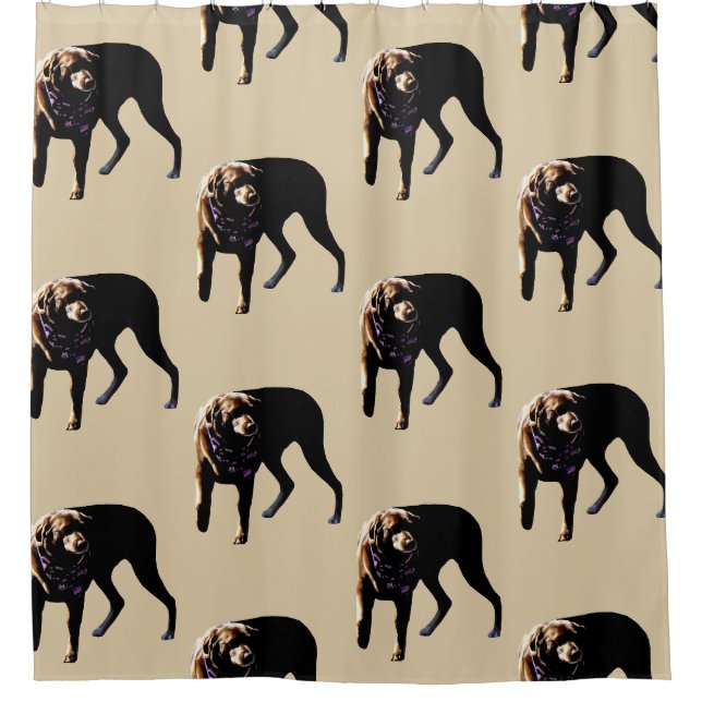 Chocolate Lab Shower Curtain (Front)