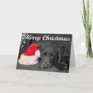 Chocolate Lab Sleeping Near Santa Hat Photograph Holiday Card