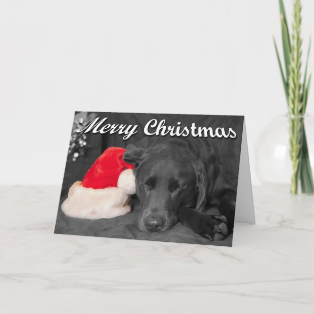 Chocolate Lab Sleeping Near Santa Hat Photograph Holiday Card (Front)