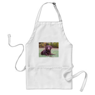 Chocolate Lab Standard Apron