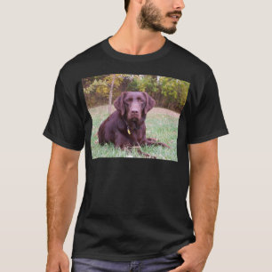 Chocolate Lab T-Shirt